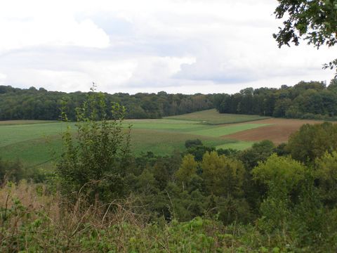 Camping La Colline - Belgisch-Luxemburg - Afbeelding N°33