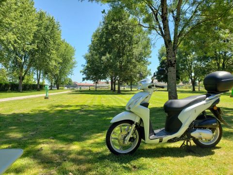 Camping de l'Arquebuse - Côte-d'Or