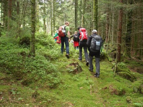 Camping Sites et Paysages - Au Clos de la Chaume - Vogezen