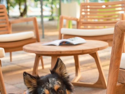 Camping U Casone - Noord-corsica