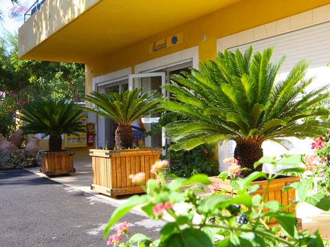 Camping International - Var - Afbeelding N°2