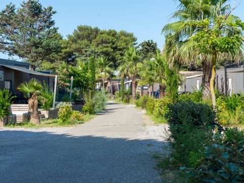 Domaine Les Mûriers - Hérault - Afbeelding N°2