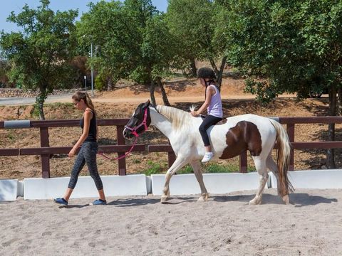 Domaine De La Bergerie - Var