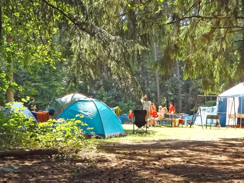 Camping Paradis - Albret - Landes - Afbeelding N°5