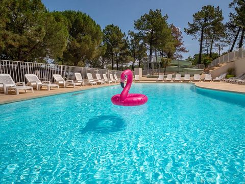 Camping La Pinède en Provence - Vaucluse - Afbeelding N°3