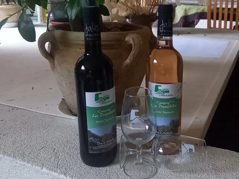 Camping des Drouilhèdes - Gard