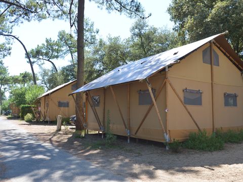 Camping Les Pins d'Oléron  - Charente-Maritime - Afbeelding N°3
