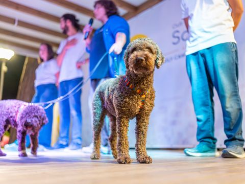 Marina Romea Easy Camping Village - Ravenna