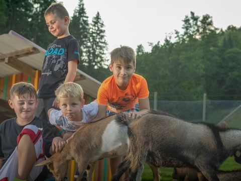 Kleinenzhof Family Resort - Baden-Württemberg - Afbeelding N°2