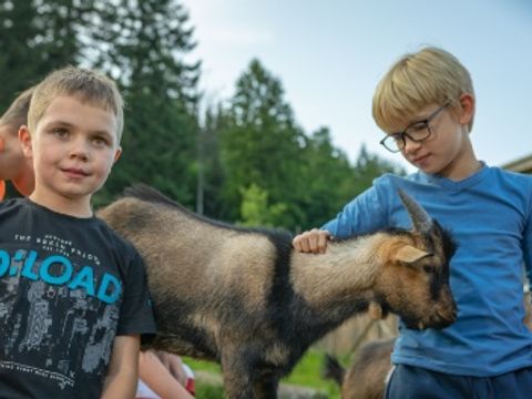 Kleinenzhof Family Resort - Baden-Württemberg - Afbeelding N°5
