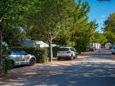 Camping La Pinède - Alpes-de-Haute-Provence - Afbeelding N°3