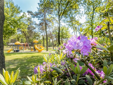 Vakantiepark de Bergen - Sint Anthonis - Afbeelding N°50