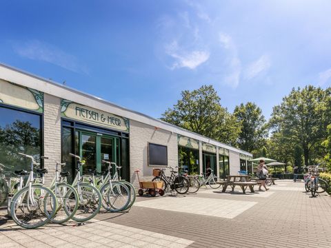 Vakantiepark de Bergen - Sint Anthonis - Afbeelding N°35