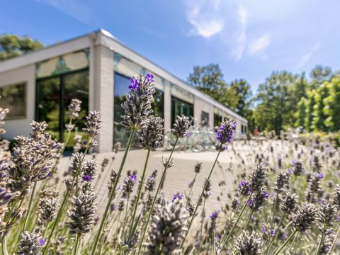Vakantiepark de Bergen - Sint Anthonis - Afbeelding N°34