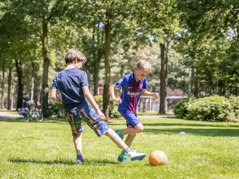 Vakantiepark de Bergen - Sint Anthonis - Afbeelding N°53