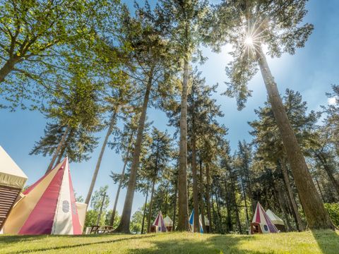 Vakantiepark de Bergen - Sint Anthonis - Afbeelding N°43