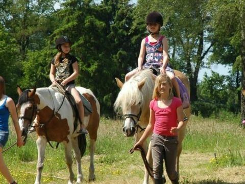 Village vacances Recreatielandgoed De IJsvogel - Barneveld