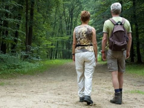 Camping Wilhelm Tell - Belgisch Limburg