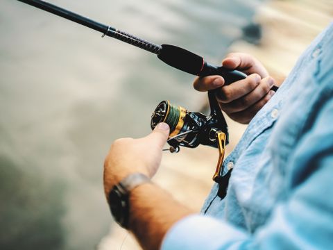 Camping Wilhelm Tell - Belgisch Limburg