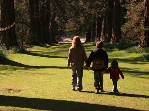 Camping Wilhelm Tell - Belgisch Limburg