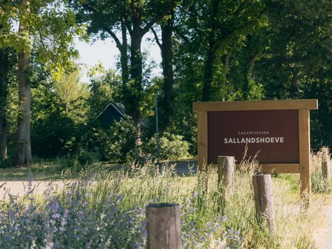 Vakantiepark Sallandshoeve - Raalte - Afbeelding N°15