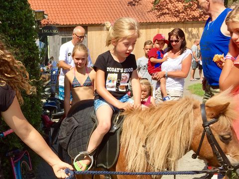 Vodatent Camping de Rammelbeek - Dinkelland - Afbeelding N°5