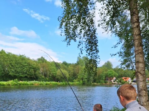 Vakantiepark het Timmerholt  - Midden-Drenthe - Afbeelding N°4