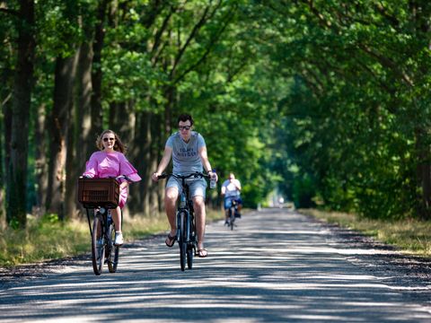 Landal Recreatiepark De Tolplas - Wierden