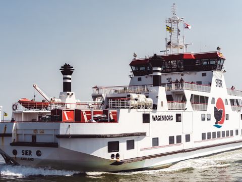Landal Vakantiepark Boomhiemke - Ameland - Afbeelding N°32