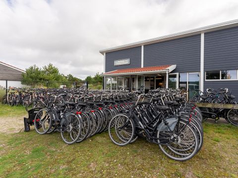 Landal Vakantiepark Boomhiemke - Ameland