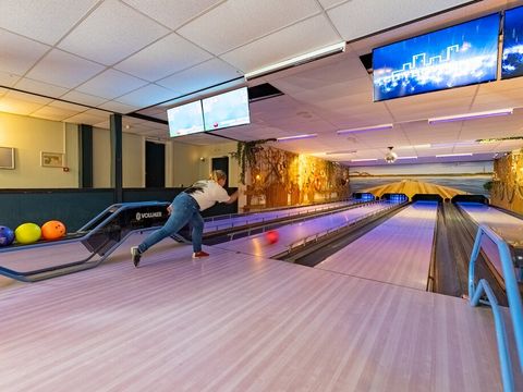 Roompot Vakantiepark Boomhiemke - Ameland - Afbeelding N°4