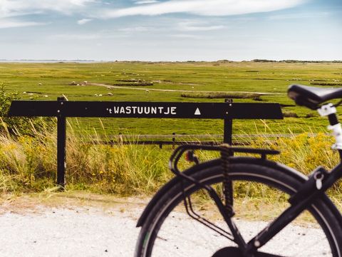 Landal Vakantiepark Boomhiemke - Ameland