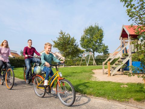 Landal De Soeten Haert - Renesse - Afbeelding N°2