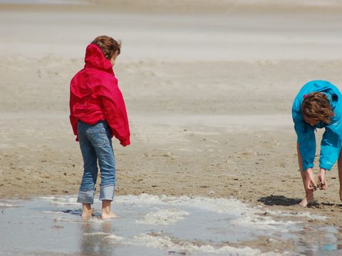 Landal Kustpark Texel - Texel