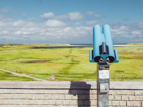 Landal Kustpark Texel - Texel