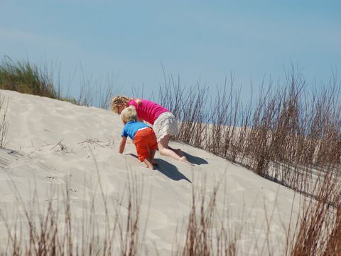 Landal Kustpark Texel - Texel