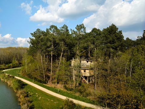 Center Parcs Le Bois aux Daims - Vienne - Afbeelding N°7