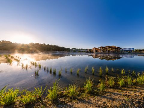 Center Parcs Le Bois aux Daims - Vienne - Afbeelding N°24