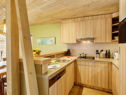 Center Parcs Le Bois aux Daims - Vienne - Afbeelding N°2