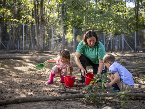 Center Parcs Le Bois aux Daims - Vienne - Afbeelding N°47