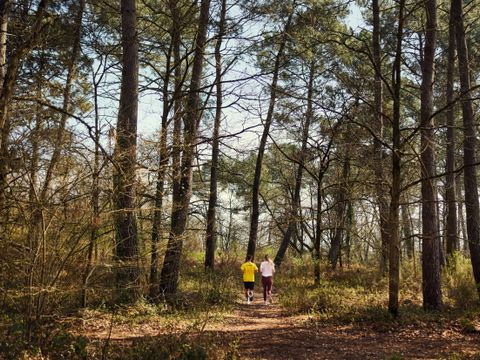 Center Parcs Le Bois aux Daims - Vienne
