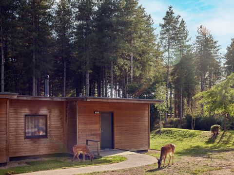 Center Parcs Le Bois aux Daims - Vienne - Afbeelding N°28
