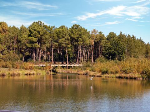 Center Parcs Le Bois aux Daims - Vienne - Afbeelding N°53