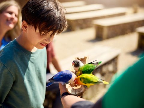 Center Parcs Le Bois aux Daims - Vienne