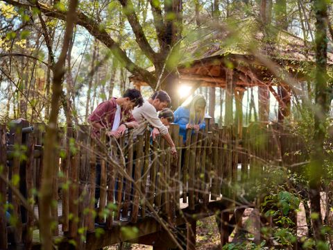 Center Parcs Le Bois aux Daims - Vienne - Afbeelding N°32