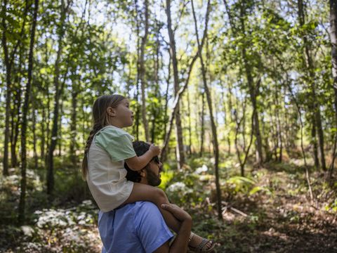 Center Parcs Le Bois aux Daims - Vienne - Afbeelding N°22