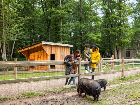 Center Parcs  Les Bois-Francs - Eure - Afbeelding N°36