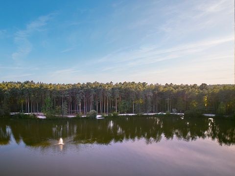 Center Parcs Les Hauts de Bruyères - Loir-et-Cher - Afbeelding N°53