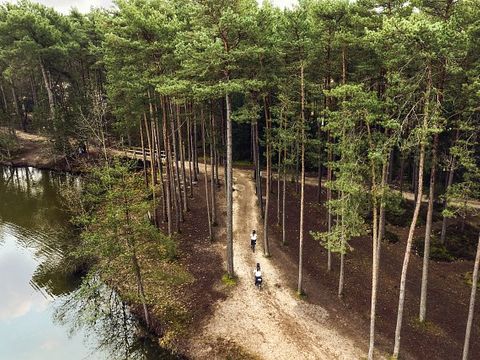 Center Parcs Les Hauts de Bruyères - Loir-et-Cher - Afbeelding N°27