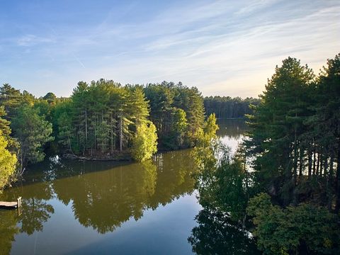 Center Parcs Les Hauts de Bruyères - Loir-et-Cher - Afbeelding N°28